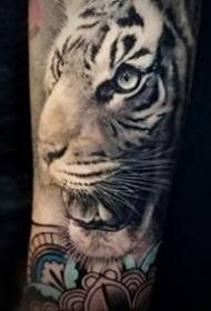 Makatotohanang hanay ng hari ng mga hayop tiger tattoo artwork