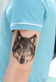 Ramię chłopca na czarnym nakłutym obrazie tatuażu dzikiego wilka