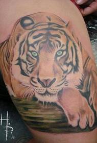 modello di tatuaggio realistico tigre di colore delle gambe