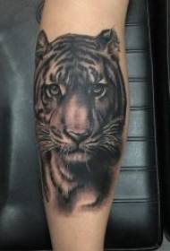Tattoo tiger head picture multiple fierce domineering tiger head tattoo pattern
