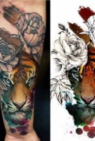 aquarel·la tatuatge animal - alguns tigres realistes pesats en aquarel·la i altres patrons de tatuatges animals