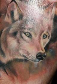 Model i tatuazhit të kokës ujku realist me ujëra