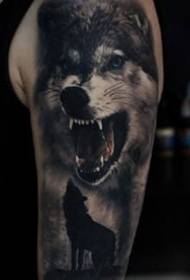 几张逼真的立体3d猛兽写实动物狼和老虎纹身图案