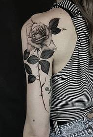 Fermoso patrón de tatuaje de rosa de liña fina e negra e gris do tatuador Edwin