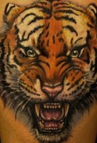 foto del tatuaggio testa di tigre prepotente creativo schizzo acquerello dipinto vitello ragazzi