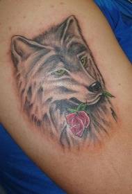 Lobo colorido braço feminino e padrão de tatuagem rosa