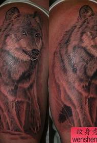Wzór tatuażu wilka ramienia
