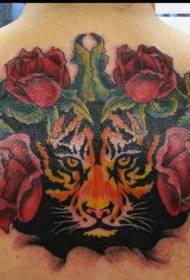 背部彩色老虎和玫瑰紋身圖案