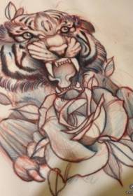 Manuscrito del tatuaje de la rosa de tigre de la escuela europea