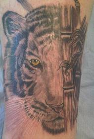 tigris tetoválás minta a bambusz erdőben