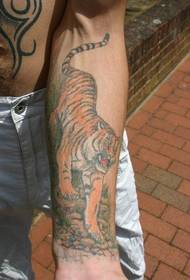 Patrón de tatuaje de tigre cuesta arriba de color de brazo