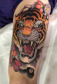 uutiskoulu-tiikeri: sarja koulutyylisiä värillisiä tiikeri-tatuointikuvioita