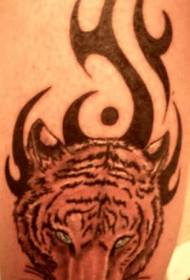 tiger tattoo picture on tribal tattoo