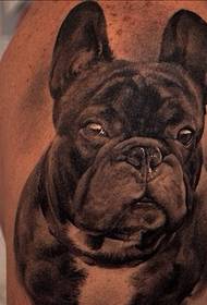 Sarja koiria ja susi muotokuva tatuointi