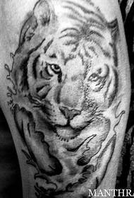 obraz tatuaż czarno-biały tygrys ramię
