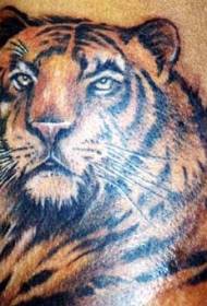 male shoulder black brown realistic tiger tattoo pattern