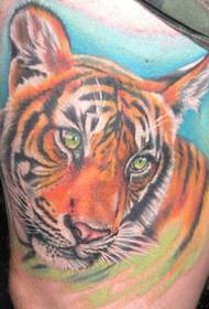 farve realistisk tiger tatovering billede 128908 - skulder tiger kamp tatoveringsmønster