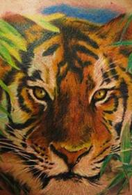 modello di tatuaggio realistico tigre di colore