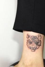 Modello tatuaggio tigre - 10 set di diverse espressioni di tatuaggi tigre
