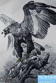 un conjunto de diseños de tatuajes de águilas