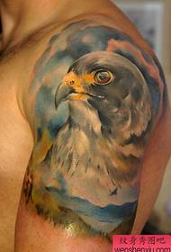 Braç masculí patró de tatuatge d'àguila de color europeu i americà molt maco
