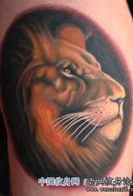 modello del tatuaggio del leone: modello del tatuaggio della testa del leone del leone di colore della gamba