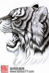 убав ракопис за тетоважа на тигар од тигар