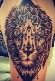 Padrão de tatuagem de leão 10 vários estilos de tatuagem padrões de tatuagem de leão