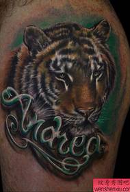 modello di tatuaggio testa di tigre classico cool