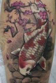 skulder Farvet koi-fisk med kirsebærblomst tatoveringsmønster