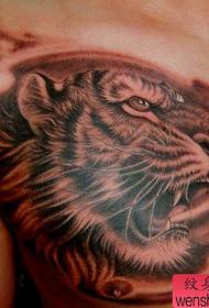 老虎纹身图案:胸部老虎虎头纹身图案