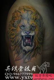 Arm super hübsche Farbe Löwenkopf Tattoo-Muster
