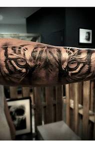 10 só tatuaxes de tigre dócil
