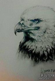 Sketch Eagle tattoo teosed