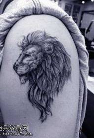 tuumque caput leonis instar Threicae