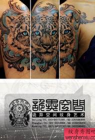 dievča rameno super pekný klasický tigrie tetovanie hlava vzor