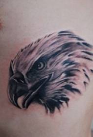 djemtë anën e belit Fotografitë e tatuazheve të kafshëve dominuese me shqiponjë 130164 - Black Grey Sketch Creative Dominering Winge Eagle Classic Tattoo Handuscript