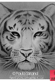 naskah tato harimau yang tampan dan tampan