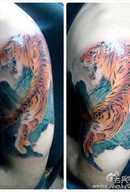 Aseet hyvännäköinen väri vuori tiikeri tatuointi malli