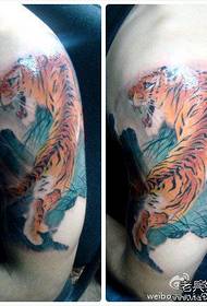 Ang kulay ng mahusay na kulay ng kulay sa pattern ng tattoo tiger ng bundok