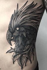 modello di tatuaggio testa di aquila addome