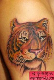 Erkpụrụ Tiger Tattoo: Arm Agba Tiger Tiger Isi Ọnọdụ Tattoo