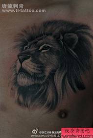 vyriškos priekinės krūtinės dalies kietas gražus liūto tatuiruotės modelis
