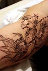 Arm Dominering Eagle zarb naqshlari