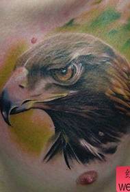 Patró clàssic tatuatge d'àliga àguila masculina