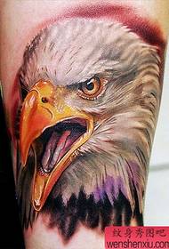 „Eagle“ tatuiruotės modelis: rankos spalvos „Eagle“ tatuiruotės modelis
