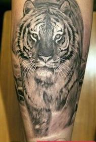 Zdjęcie pokazujące tatuaż zalecało grupę tatuaży tygrysich