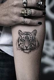 Enkel tijger tattoo patroon