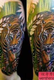 gamba popolare modello di tatuaggio tigre di colore classico