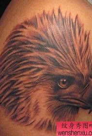 老鹰纹身图案:经典另类手臂老鹰头像纹身图案